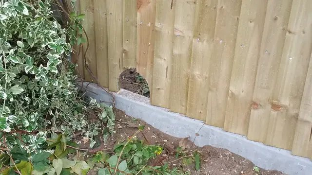 Fencing, gate or repair work completed by AWGS Fencing in Berkshire